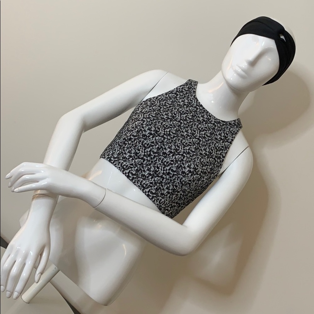 Elizabeth and James zip back crop top